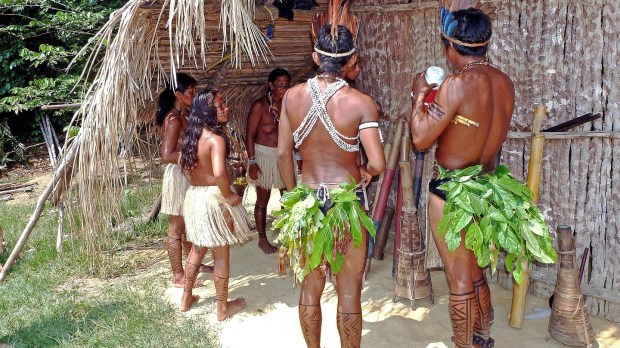 indígenas del Amazonas en Brasil