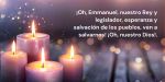 Novena de Navidad con las “Antífonas Mayores”: Noveno día