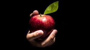 WEB3 TEMPTATION APPLE GOD Arda Savasciogullari shutterstock_220001791