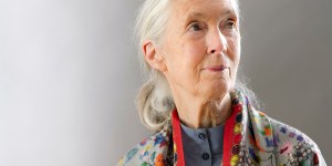 Jane Goodall: En la Biblia se condena el maltrato de animales