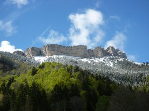 La Gran Cartuja, un silencio habitado
