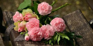 15 flores y su simbología en la fe cristiana