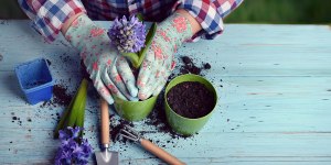 Jardinería: 11 beneficios que aporta el cuidado de las plantas