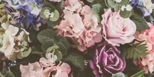 Las flores más vinculadas a Jesús y a la Virgen