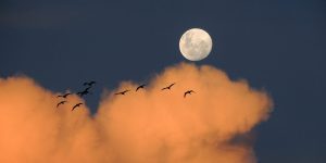 ¿Por qué la fecha de Pascua está determinada cada año por la Luna?