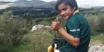 LOS TILOS