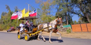Cuasimodo, un «tesoro del pueblo» exclusivo de Chile