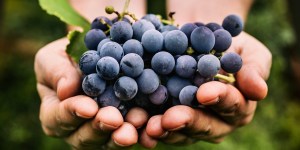 Una oración para que el día tenga fruto
