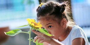 Lecciones de la naturaleza para comprender a Dios