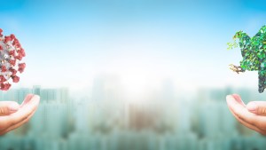 shutterstock_1663384474.jpg