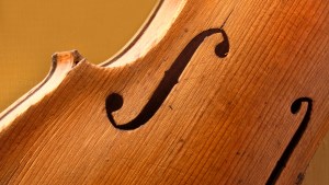 VIOLIN