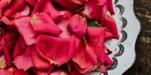 Por qué Pentecostés es llamado el Domingo de la Rosa