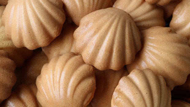 MADELEINE