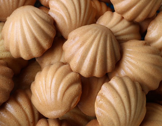 MADELEINE