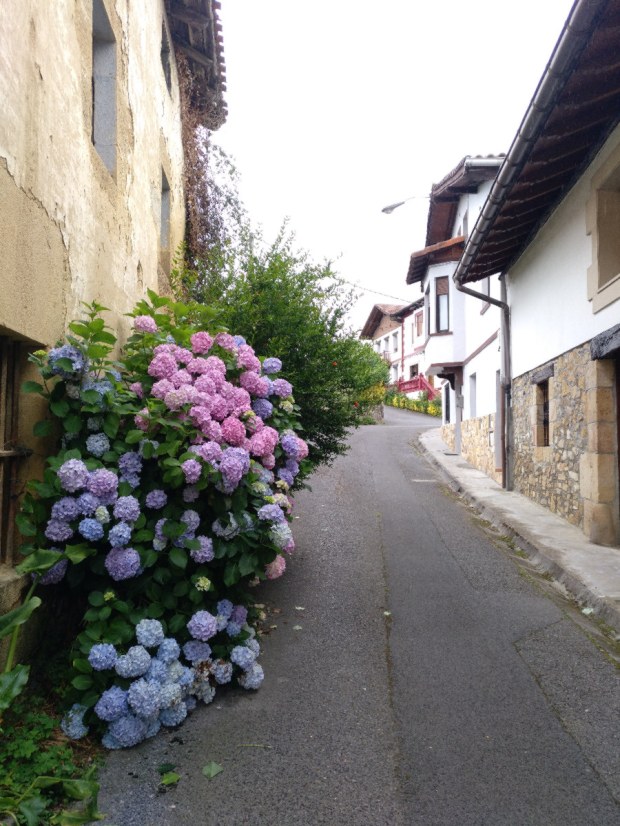 BASQUE COUNTRY