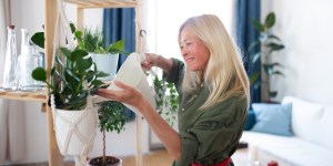 5 plantas para tu hogar si quieres potenciar tu felicidad