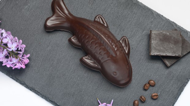 CHOCOLATE FISH