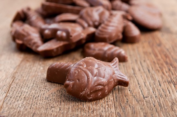 CHOCOLATE FISH