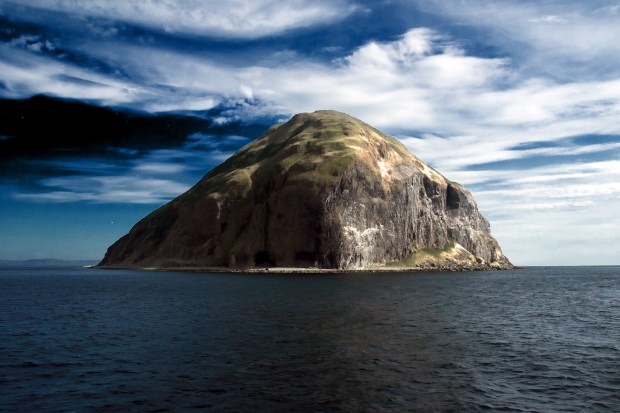 ALISA CRAIG