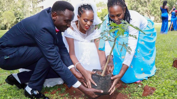 LAUDATO SI CASAMIENTO PROPUESTA