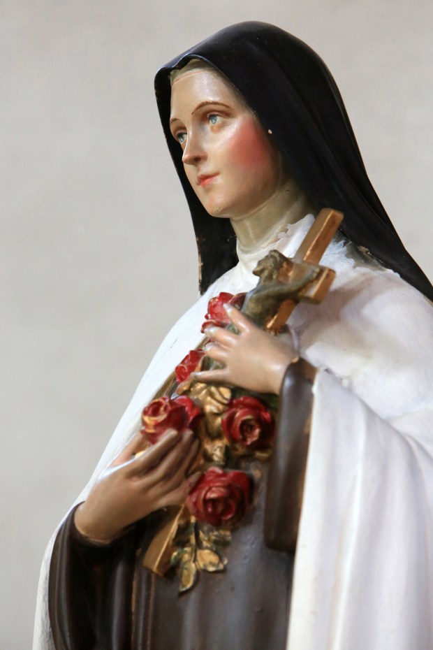 santa teresita y las rosas