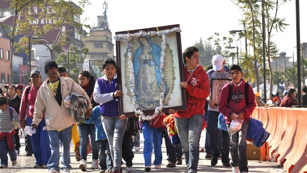 GUADALUPE