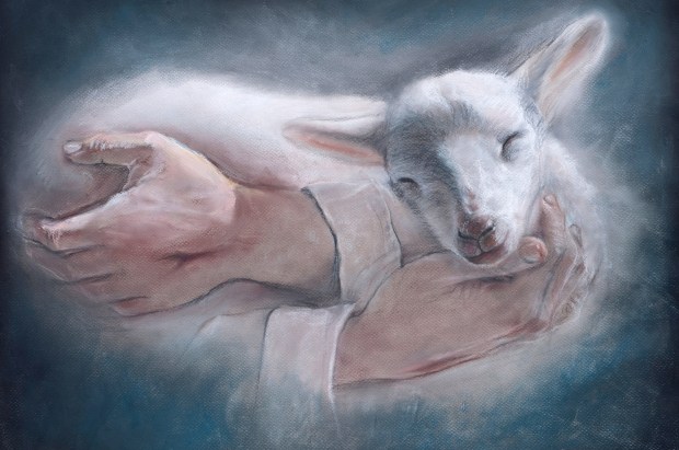 SHEPHERD