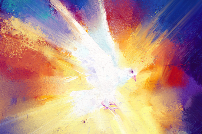 kolorowy obraz Ducha Świętego w postaci gołębicy