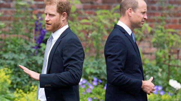 Britain's Prince Harry and Prince William