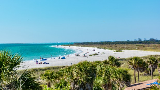 Playa de Tampa, Florida