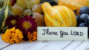 shutterstock_2066524601.jpg