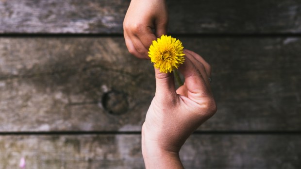 giving flower | Shutterstock