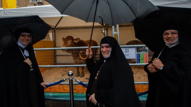 blessing the animals for the feast day of Saint Anthony Abbot, protector of animals.