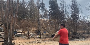 Incendios Chile: «Apadrina a una familia damnificada»