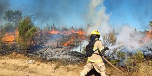 Chile encomienda a quienes sufren los incendios a la Virgen de Lourdes