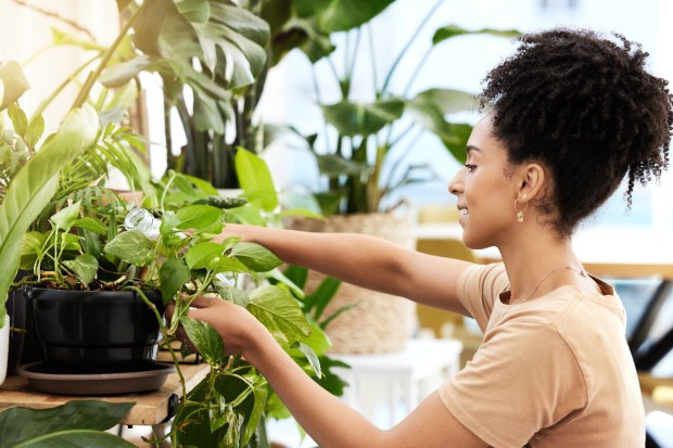 woman-plants-care-water-garden