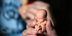 Obispos de México recuerdan que el aborto no es la solución