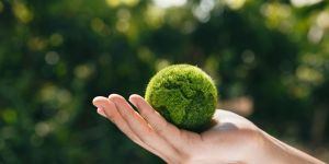 ¿Cómo hemos llegado a Laudato Si&#8217;? Los escritos papales