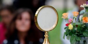 ¿Qué son los Tarsicios y las Inesitas?