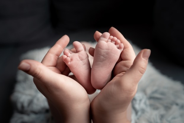 Hands hold baby feet