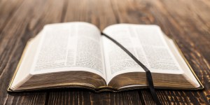 Divertidos insultos de la Biblia: seguro no los conocías