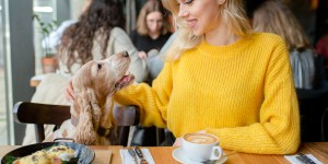Cultura Pet Friendly y los perrhijos: una situación actual