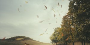 ¿Por qué seremos juzgados? Jesús es muy preciso