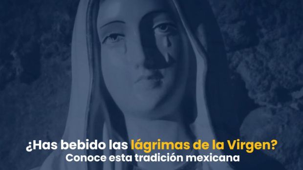 lágrimas de la virgen