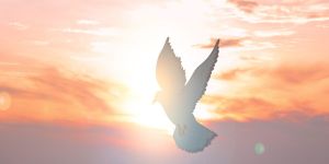 7 personas transformadas por el Espíritu Santo