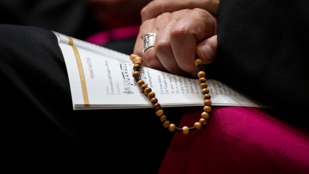 Rosary-Prayer for Peace-Bishops-CEI